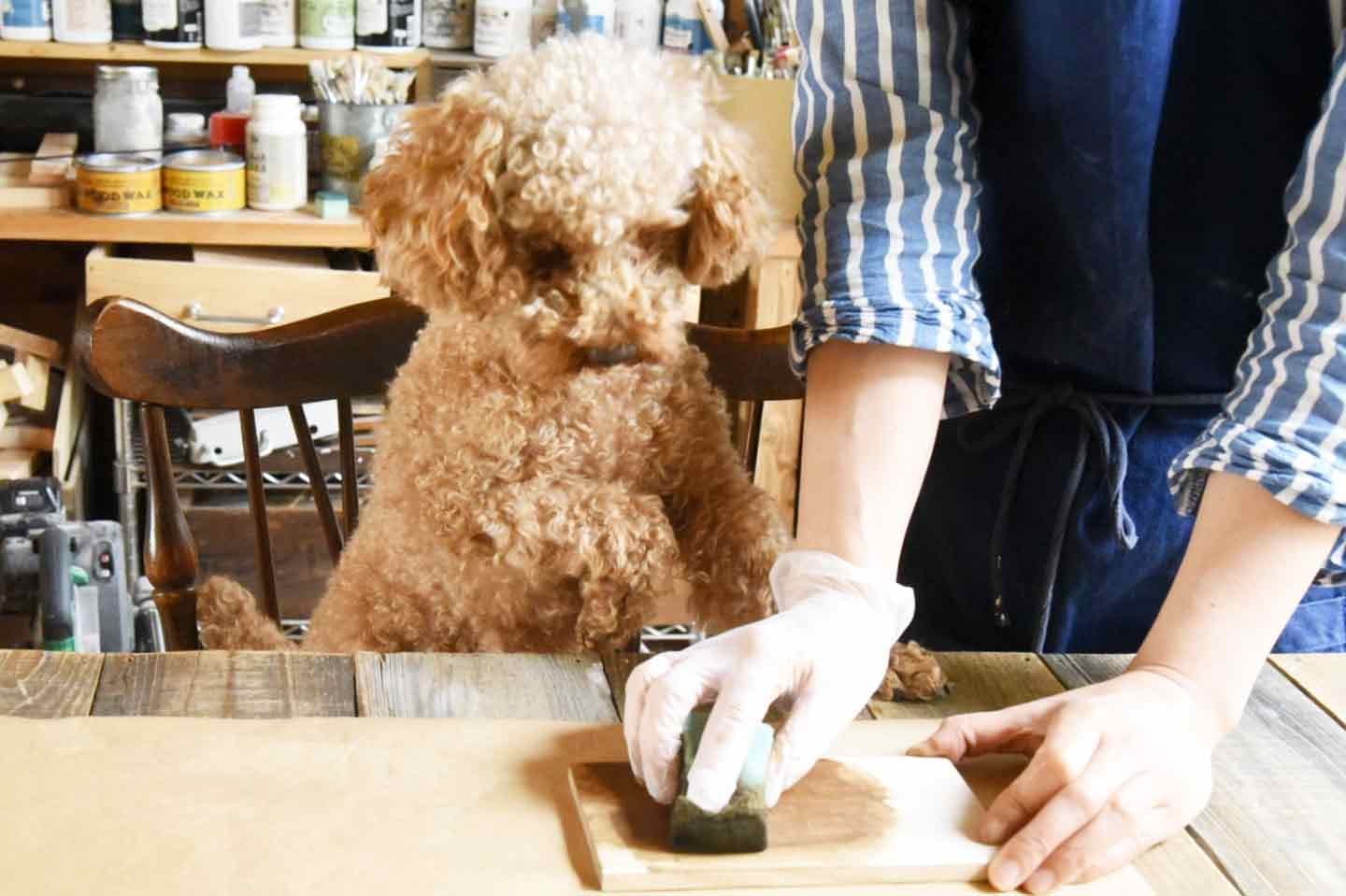 愛犬用「収納つき手作り連絡ボード」の作り方　ニスを重ね塗り