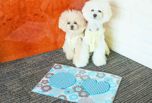 防水仕様の愛犬用ランチョンマットの作り方　布をカット