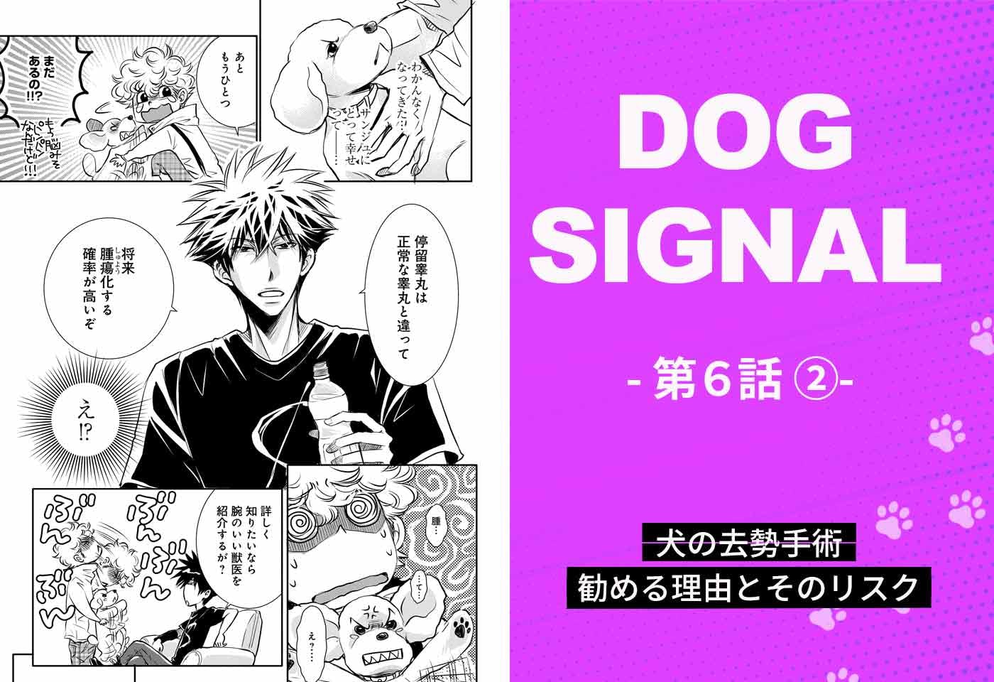 犬好き漫画家 みやうち沙矢 わんクォール