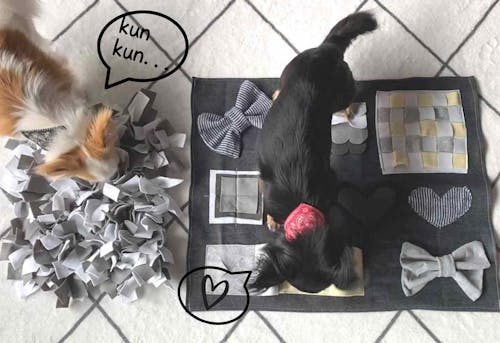 材料費0円以下 楽しい仕掛けを簡単diy 愛犬が遊びながら学べるノーズワークマットの作り方 わんクォール