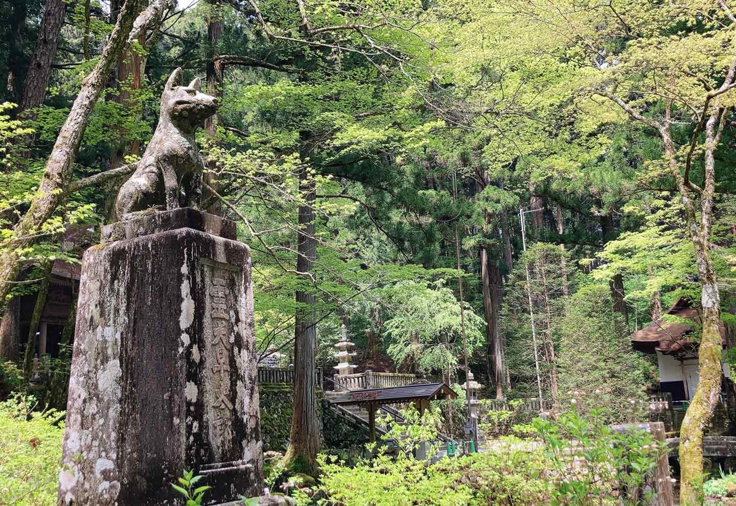 長野 アニメ ゆるキャン にも登場 駒ヶ根にある わんこ寺 に行ってきた わんクォール