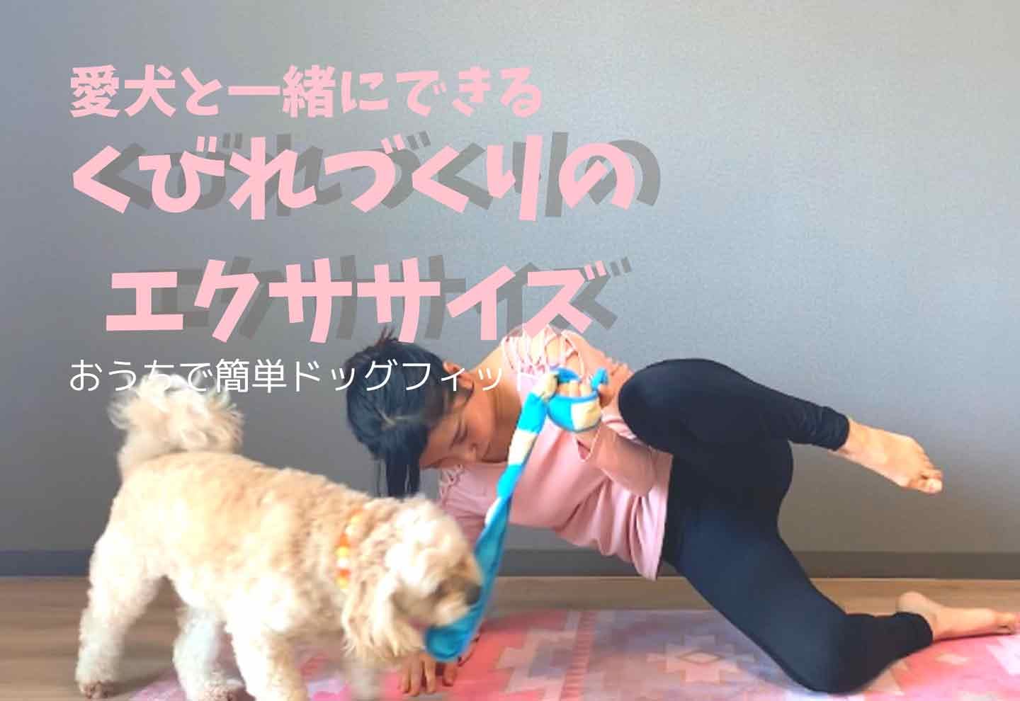 【ドッグフィット動画】愛犬と一緒にくびれを手に入れよう！即効性のある3つの簡単エクササイズ