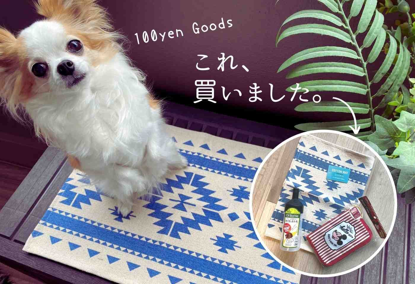 わんこグッズとして使えそう 100均の戦利品をご紹介 わんクォール わんこグッズとして使えそう 100均の戦利品をご紹介 わんクォール