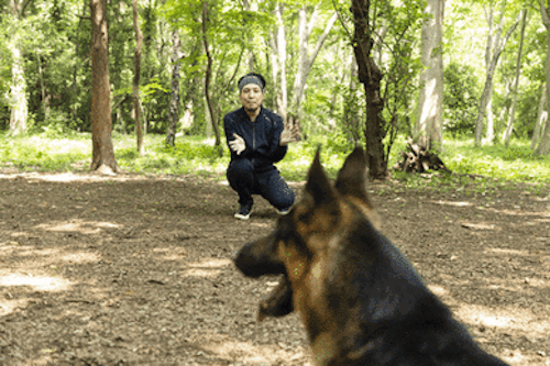 警察犬パクくんをあやす犬が大好きなライターの竹内
