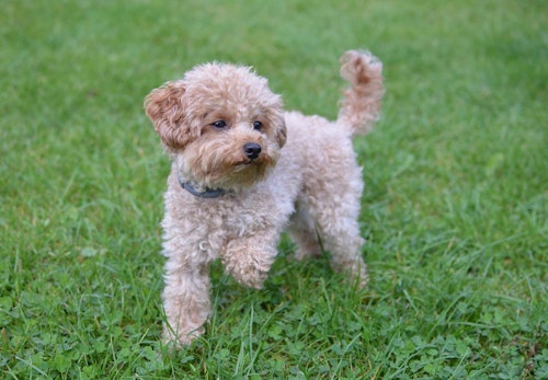 Gmfpu52zvchsrm Gmfpu52zvchsrm