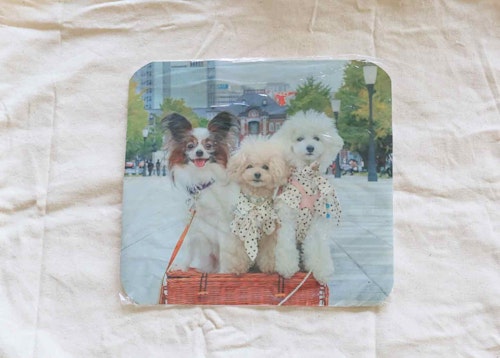 愛犬の写真をラップで覆って、アイロンでバッグに貼り付ける