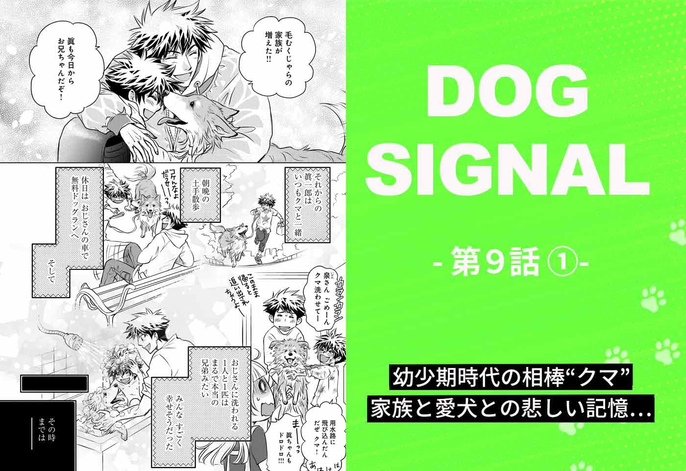 犬好き漫画家 みやうち沙矢 わんクォール