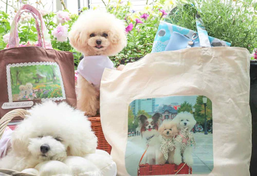 うちの子トートバッグ 愛犬の写真を自分でプリント 散歩で使える手作りおしゃれグッズ わんクォール うちの子トートバッグ 愛犬の写真を自分でプリント 散歩で使える手作りおしゃれグッズ わんクォール