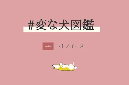 変な犬図鑑no 001 トトノイーヌ 体を温めたり冷やしたりする犬を獣医師が解説 わんクォール 変な犬図鑑no 001 トトノイーヌ 体を温めたり冷やしたりする犬を獣医師が解説 わんクォール