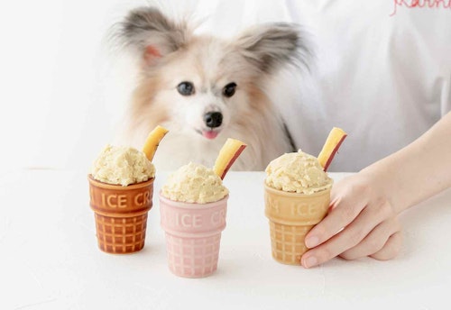 【食欲UPおやつ】超簡単な愛犬用さつまいもアイスの作り方！つぶして混ぜるだけ★