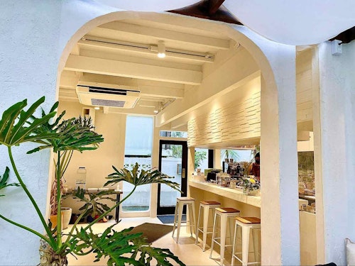 愛犬同伴ok 夏でも涼しい都内のカフェ3選 空調バッチリ オシャレなお店で快適にわんこと過ごそう わんクォール 愛犬同伴ok 夏でも涼しい都内のカフェ3選 空調バッチリ オシャレなお店で快適にわんこと過ごそう わんクォール