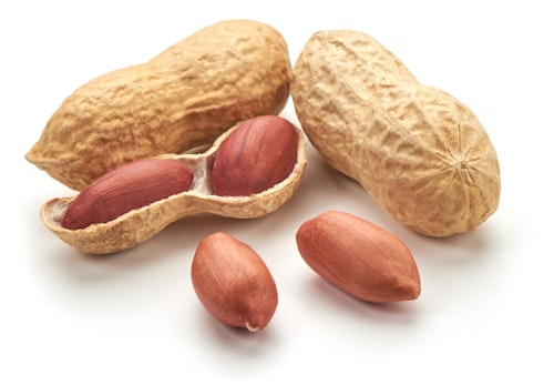 犬にピーナッツ 落花生 を食べさせても大丈夫 避けた方がいい理由と注意点について解説 獣医師監修 わんクォール 犬にピーナッツ 落花生 を食べさせても大丈夫 避けた方がいい理由と注意点について解説 獣医師監修 わんクォール