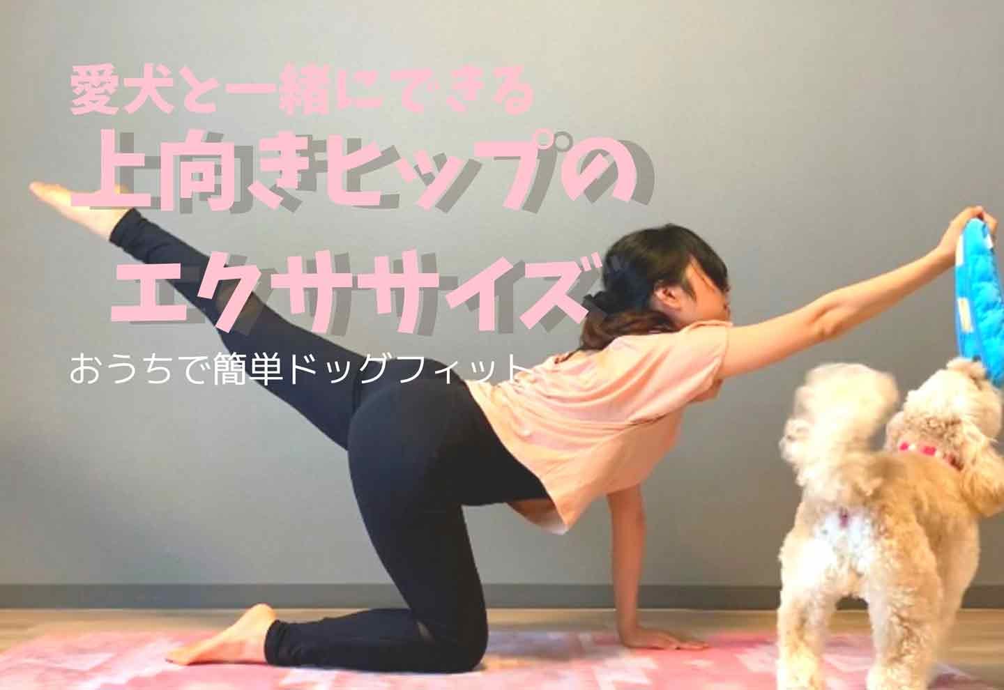 【美尻筋トレ】愛犬と楽しみながらできる上向きヒップのエクササイズ3選♪夏までに垂れ尻を撃退しよう!