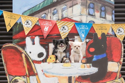 富士急ハイランド 内にドッグランが新たにオープン 愛犬と遊園地に出かけよう わんクォール 富士急ハイランド 内にドッグランが新たにオープン 愛犬と遊園地に出かけよう わんクォール