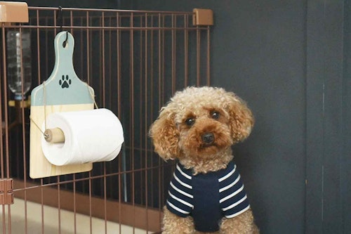 【100均のまな板】愛犬用トイレットペーパーホルダーを簡単に手作り！家中どこでも引っ掛けられて超便利♪