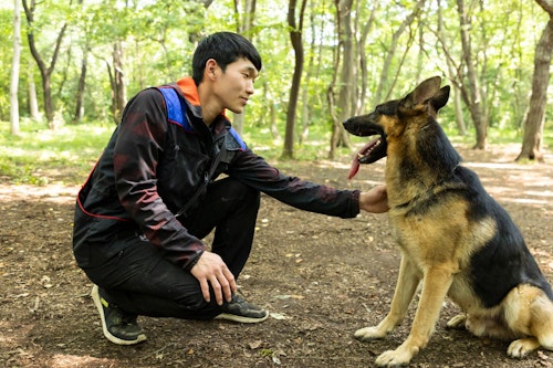 警察犬パクくんを撫でる調教師の稲留さん