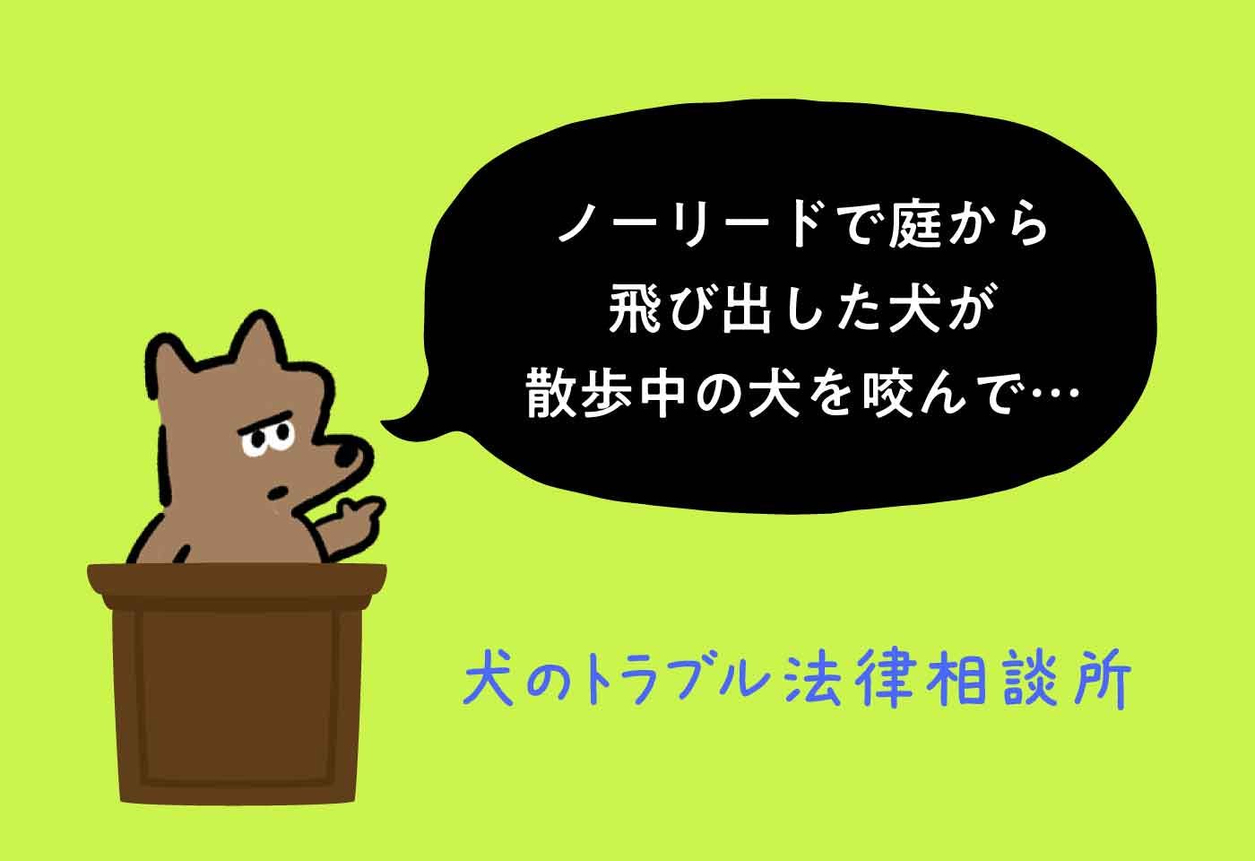 犬に噛まれてボロボロで原型止めてません rF9cl-m30272138909 | antalyapsikiyatri.net