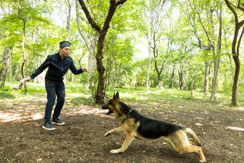 警察犬パクくんと遊ぶ犬好きライター竹内