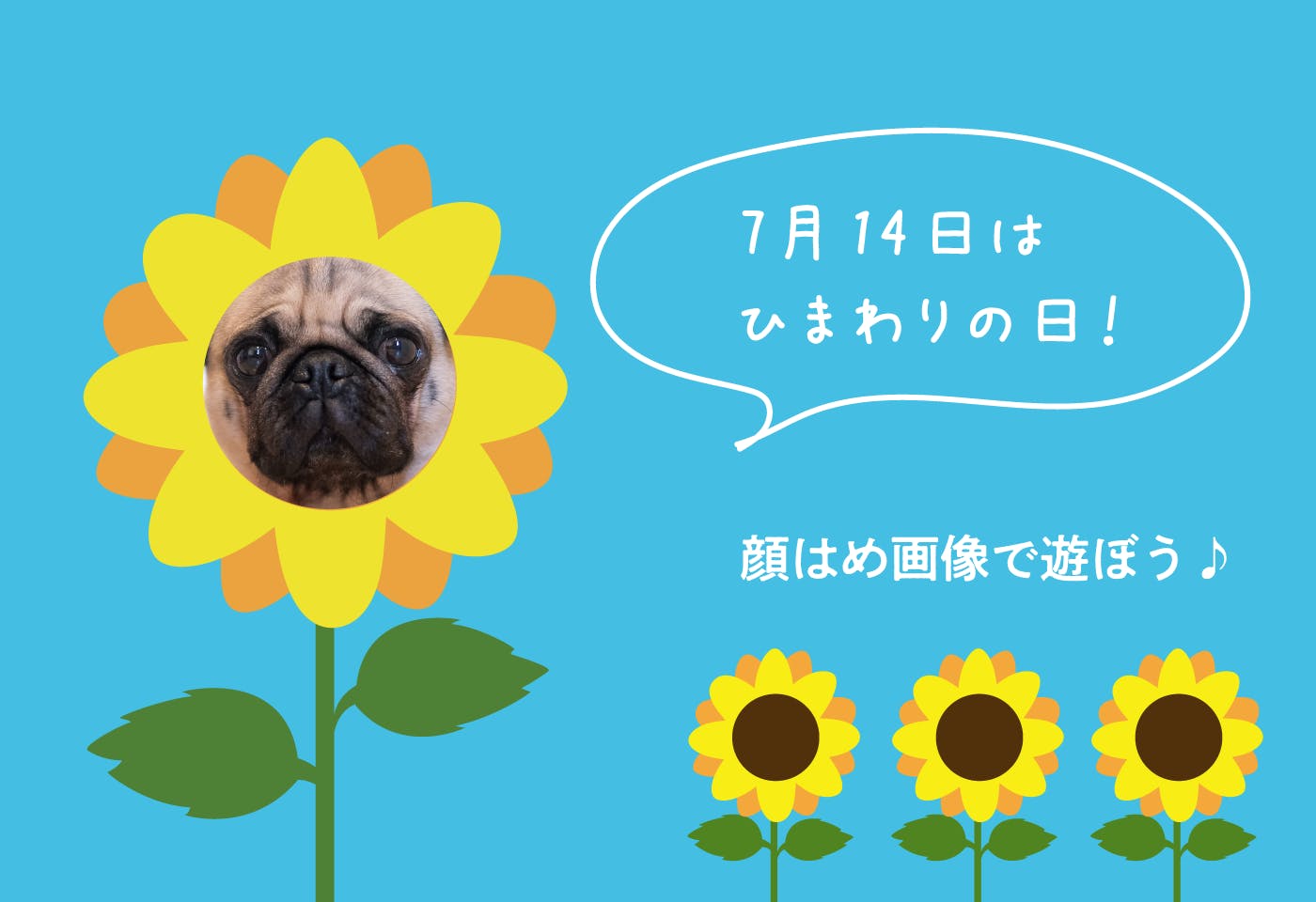 今日はひまわりの日!SNSの顔はめテンプレートをプレゼント♪