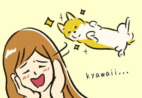 犬飼いの あるある行動 ベスト３ みんなが犬バカと感じたのは わんクォール