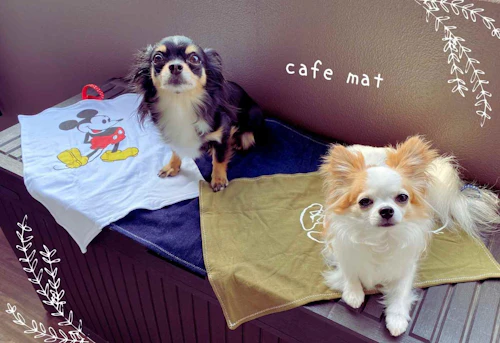 製作時間分 コンパクトに畳める 愛犬用カフェマット の作り方 古着リメイクの簡単サスティナブルdiy わんクォール 製作時間分 コンパクトに畳める 愛犬用カフェマット の作り方 古着リメイクの簡単サスティナブルdiy わんクォール