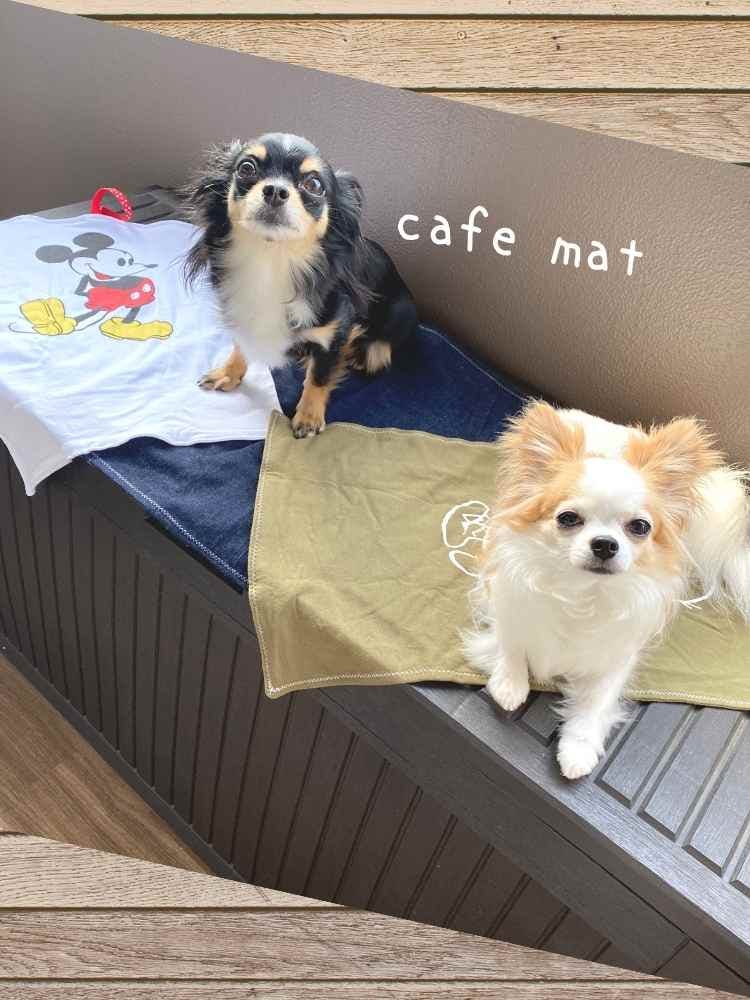 製作時間20分】コンパクトに畳める『愛犬用カフェマット』の作り方