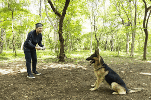 警察犬パクくんと遊び犬好きライター竹内