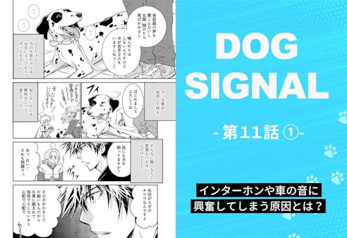 『DOG SIGNAL』11話目①　表紙