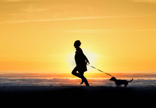 犬は扇風機の風を涼しく感じるの 暑さ対策になる効果的な使い方や注意点を解説 獣医師監修 わんクォール 犬は扇風機の風を涼しく感じるの 暑さ対策になる効果的な使い方や注意点を解説 獣医師監修 わんクォール
