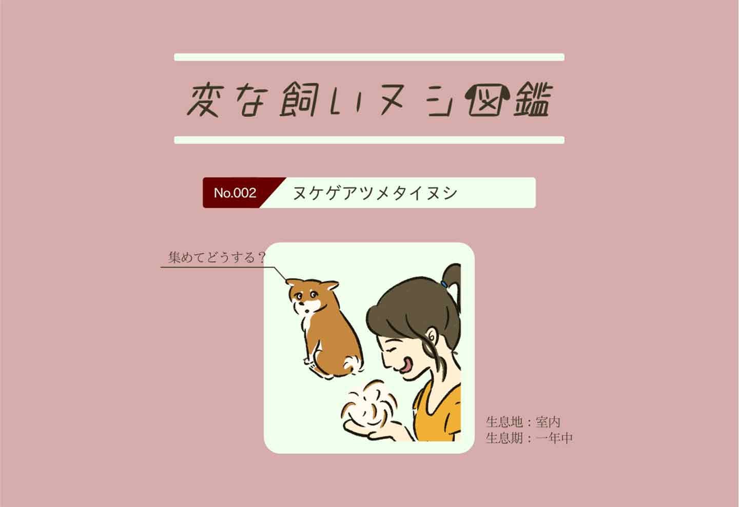 【変な飼いヌシ図鑑No.002】愛犬の抜け毛を貯める飼い主『ヌケゲアツメタイヌシ』