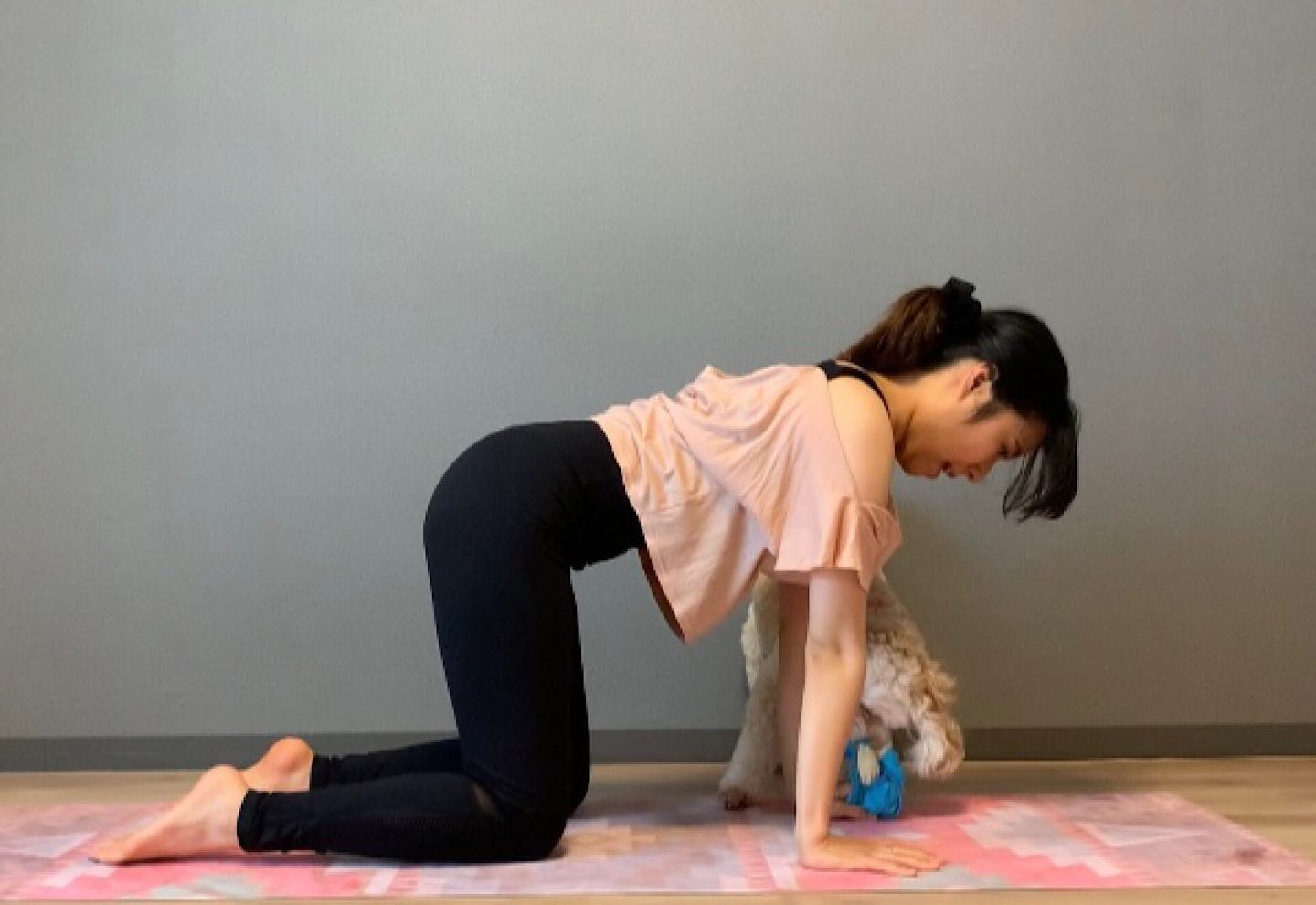 上向きヒップのための美尻ドッグフィット 体幹エクササイズ