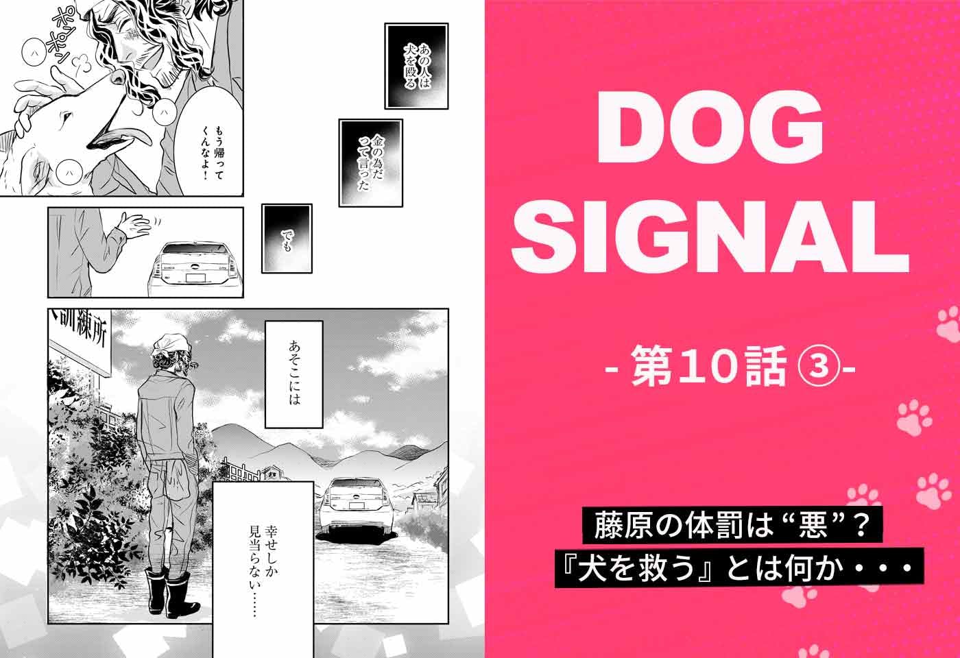 Amazon.co.jp: ドッグシグナル DOG SIGNAL コミック 1-10巻