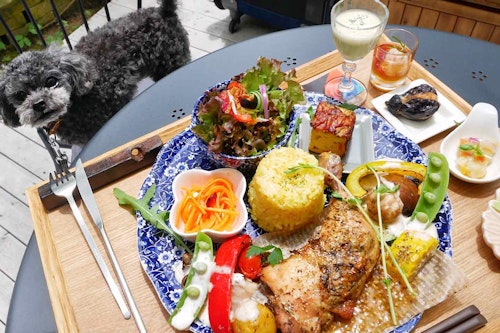 【名古屋周辺】愛犬同伴可能なガーデンカフェ3選！愛犬とおしゃれなテラスでのんびり過ごせるスポット♪