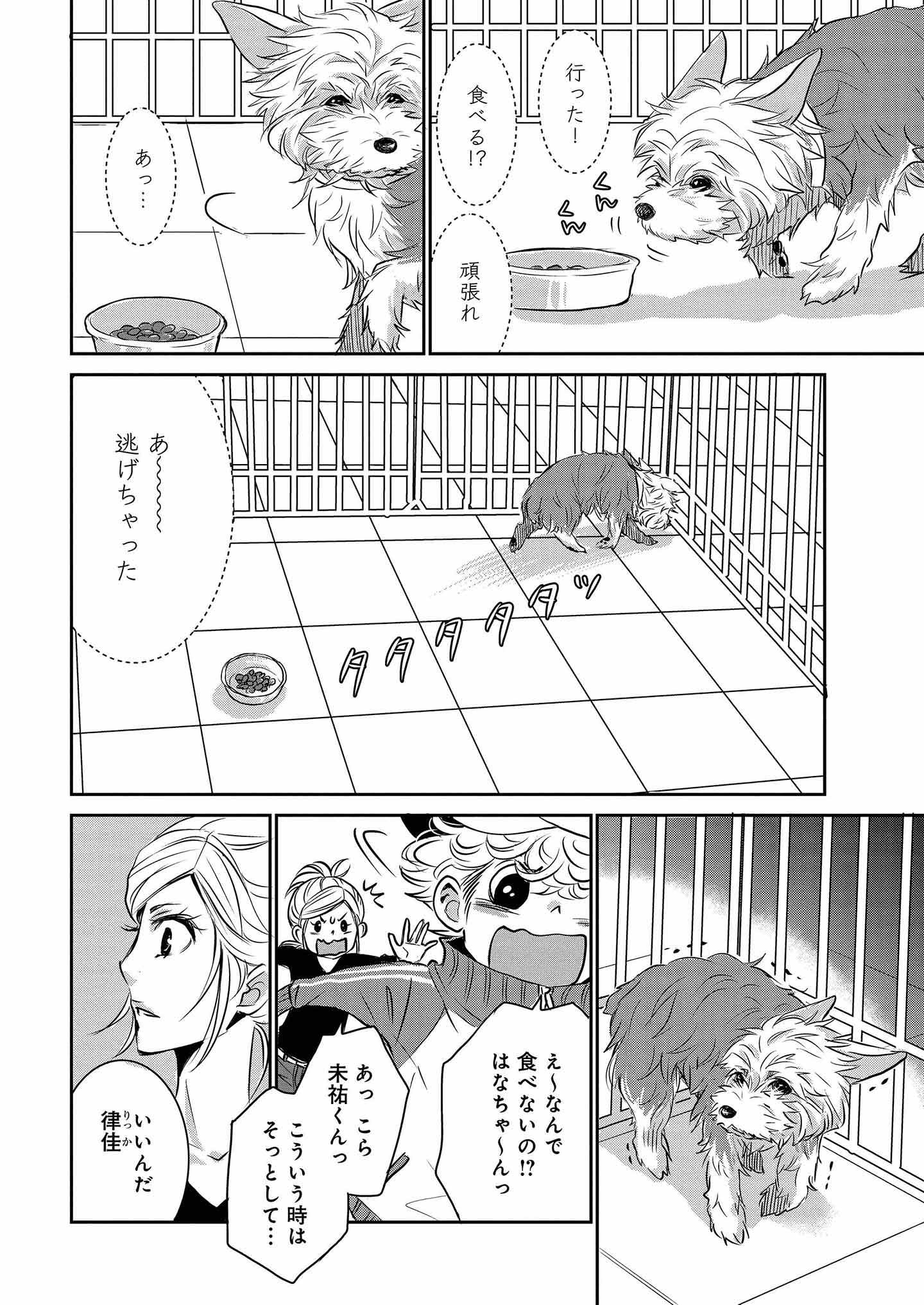 DOG SIGNAL（ドッグシグナル）』13話目 3/4|ワンクォール