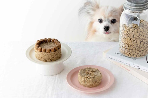 犬用ケーキ ふやかすだけの超簡単レシピ 高齢犬も食べられるフードアレンジ わんクォール 犬用ケーキ ふやかすだけの超簡単レシピ 高齢犬も食べられるフードアレンジ わんクォール