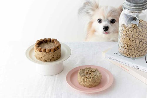 Hvousr Ddzeb M Hvousr Ddzeb M