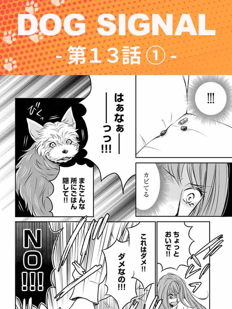 DOG SIGNAL. 1~13巻 DOG SIGNAL 13巻 KADOKAWA｜角川 通販 | ビックカメラ.com