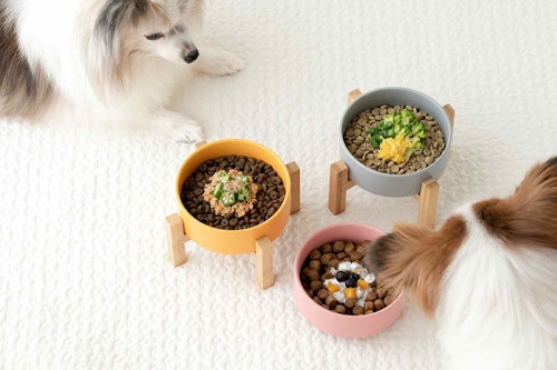 冷凍野菜 フルーツを使用 愛犬用簡単作り置きレシピ3選 加熱不要で盛るだけのドッグフードトッピング わんクォール 冷凍野菜 フルーツを使用 愛犬用簡単作り置きレシピ3選 加熱不要で盛るだけのドッグフードトッピング わんクォール