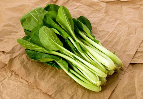 犬は小松菜を食べても大丈夫 栄養素や与える際の注意点について解説 獣医師監修 わんクォール 犬は小松菜を食べても大丈夫 栄養素や与える際の注意点について解説 獣医師監修 わんクォール