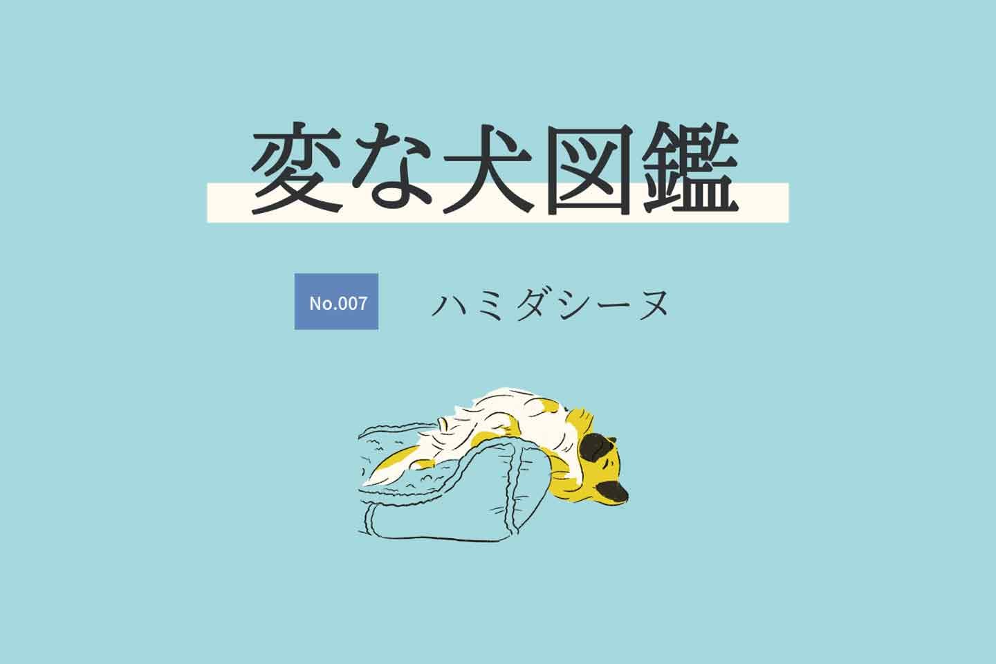 【変な犬図鑑No.007 ハミダシーヌ】手足をピーンと伸ばして寝る犬を獣医師が解説！