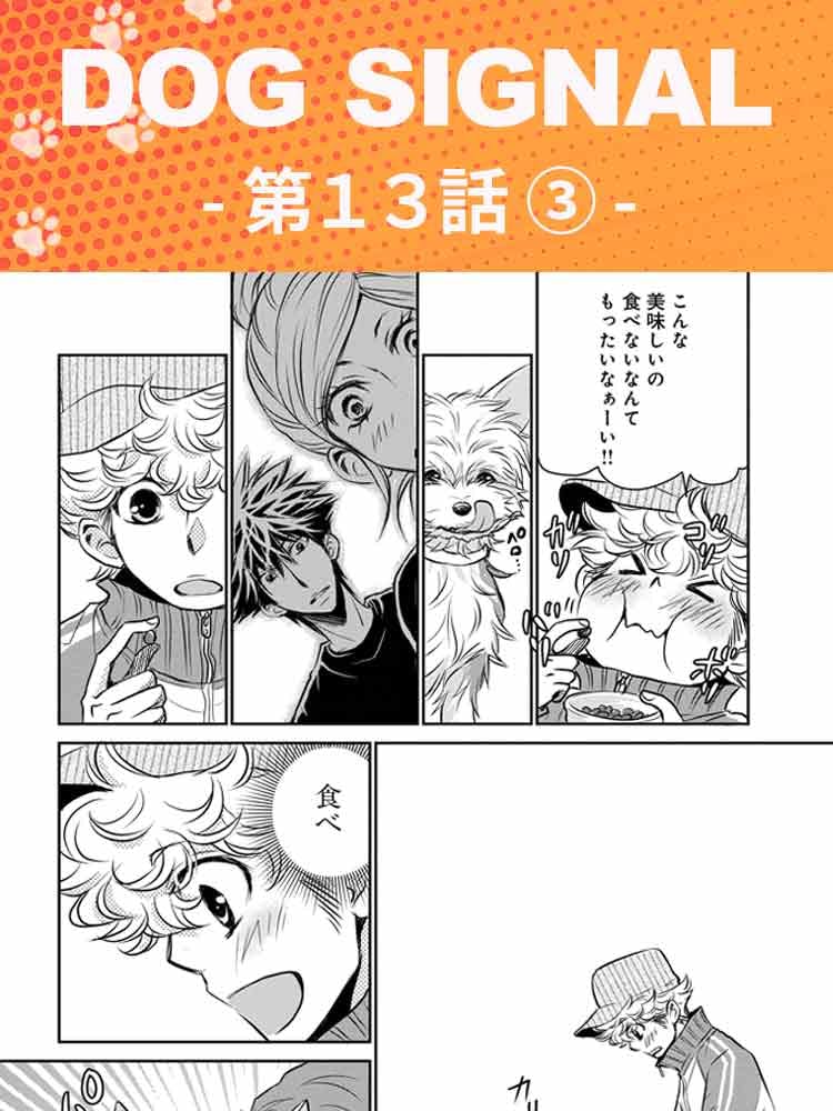 DOG SIGNAL（ドッグシグナル）』13話目 3/4|ワンクォール