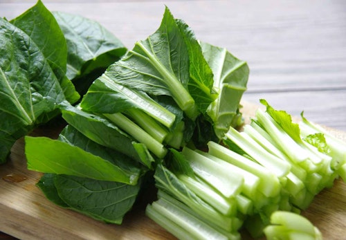 犬は小松菜を食べても大丈夫 栄養素や与える際の注意点について解説 獣医師監修 わんクォール 犬は小松菜を食べても大丈夫 栄養素や与える際の注意点について解説 獣医師監修 わんクォール