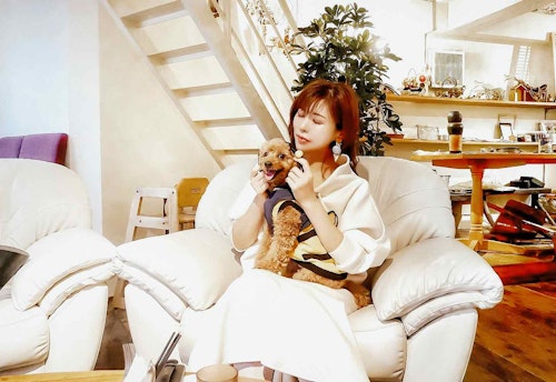 名古屋周辺 店内 屋根ありの愛犬同伴可能な人気カフェ3選 暑い夏や急な天候の崩れでも大丈夫 わんクォール 名古屋周辺 店内 屋根ありの愛犬同伴可能な人気カフェ3選 暑い夏や急な天候の崩れでも大丈夫 わんクォール