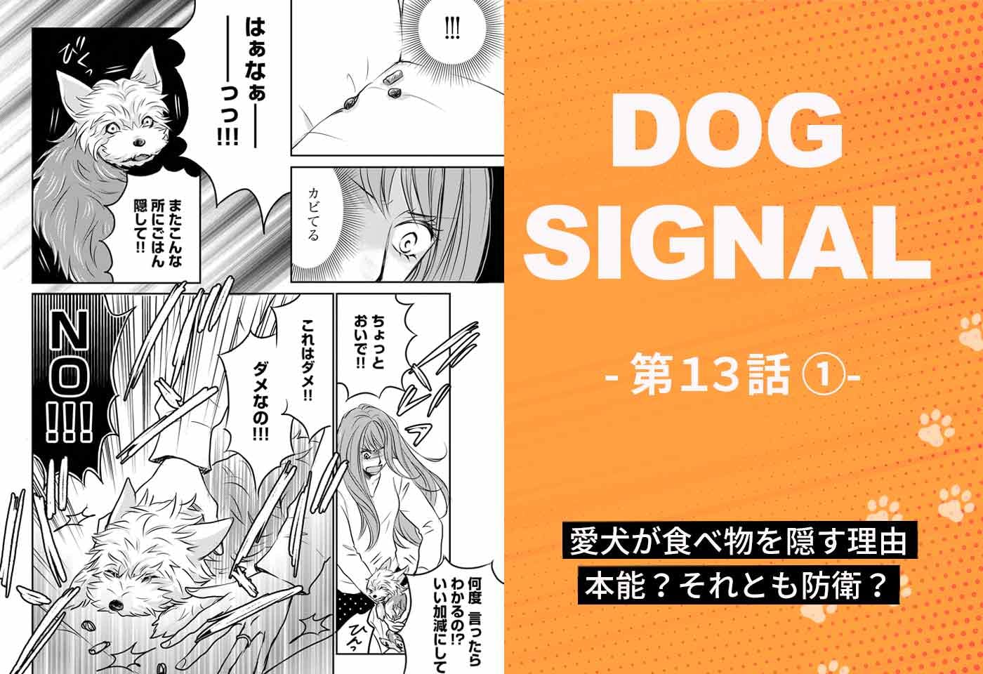 『DOG SIGNAL』13話目①　表紙