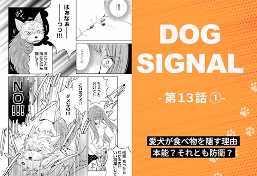 『DOG SIGNAL』13話目①　表紙