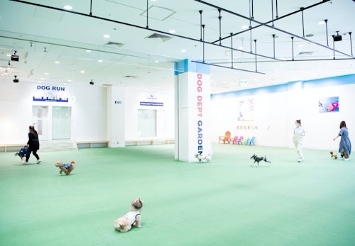 22年版 雨でも愛犬と遊べる 関東圏の室内ドッグラン7選 施設選びのポイントも紹介 編集部セレクト わんクォール 22年版 雨でも愛犬と遊べる 関東圏の室内ドッグラン7選 施設選びのポイントも紹介 編集部セレクト わんクォール