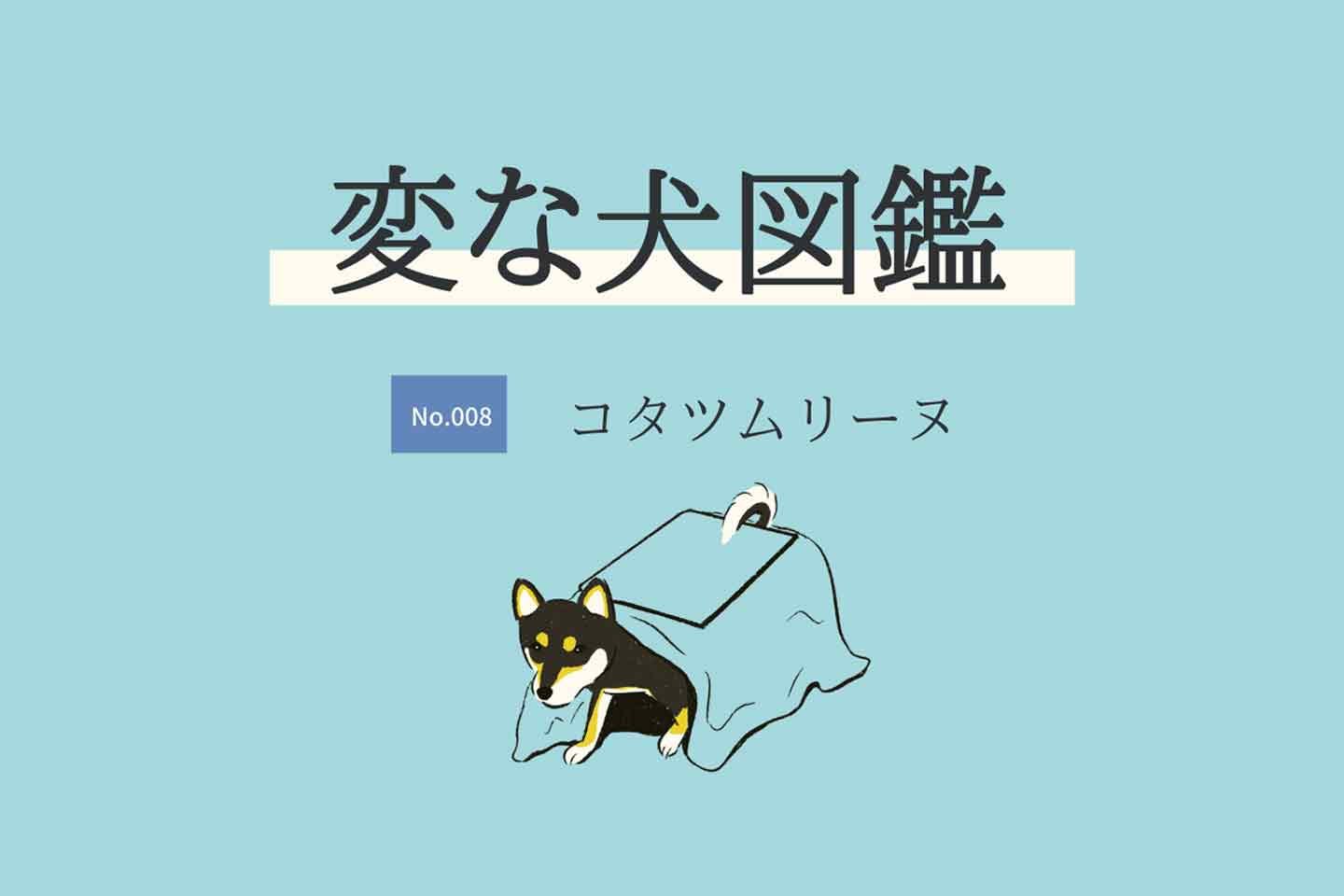 【変な犬図鑑No.008 コタツムリーヌ】こたつに入るのが好きな犬を獣医師が解説！