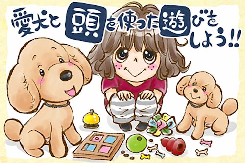 愛犬の脳トレ おうち時間の遊び方 頭と身体を使った室内でのコミュニケーションを人気犬マンガ家が伝授 わんクォール 愛犬の脳トレ おうち時間の遊び方 頭と身体を使った室内でのコミュニケーションを人気犬マンガ家が伝授 わんクォール