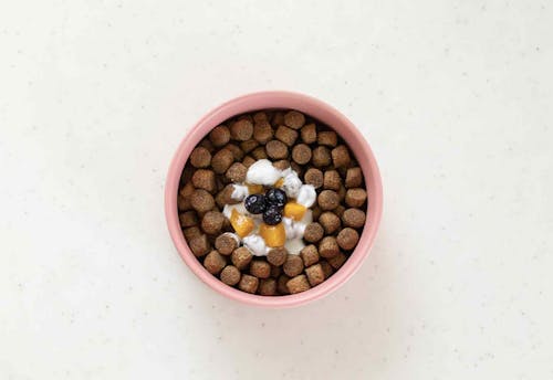 冷凍野菜 フルーツを使用 愛犬用簡単作り置きレシピ3選 加熱不要で盛るだけのドッグフードトッピング わんクォール