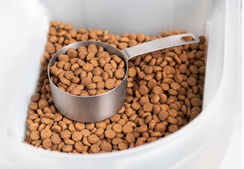 チワワの適正体重は何kg 月齢ごとの推移と正しいダイエット法 体重管理のポイントを解説 獣医師監修 わんクォール チワワの適正体重は何kg 月齢ごとの推移と正しいダイエット法 体重管理のポイントを解説 獣医師監修 わんクォール